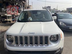 جيب رينيجيد